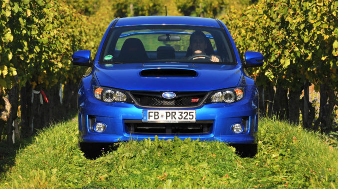 Ein blauer Subaru WRX STI fährt auf einem Grasweg in einem Weinberg