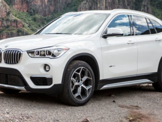 Ein weßer BMW X1 steht 2015 in einem Naturpark.