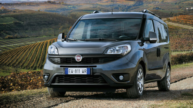 Ein grauer Fiat Doblo Cargo steht 2016 in einem Weinanbaugebiet.