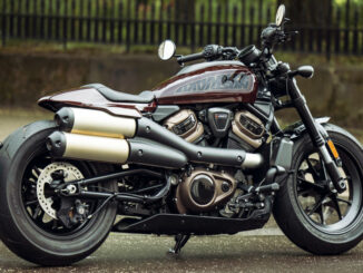 Eine braune Harley-Davidson Sportster steht 2021 vor einem Park.