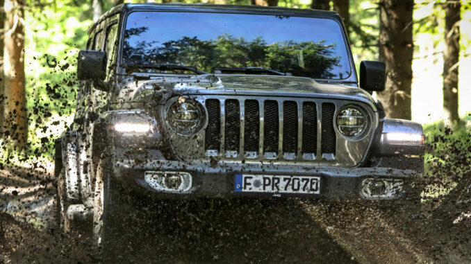 Ein grauer Jeep Wrangler Sahara Limited fährt 2019 durch den Wald.