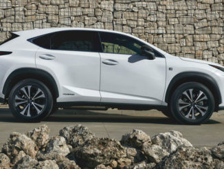 Ein weißer Lexus NX steht vor einer Steinmauer.