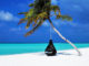 malediven palma strand sand der küste insel