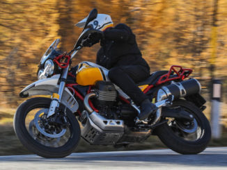 Ein Biker fährt mit einer Moto Guzzi V85 TT (2019) vor einem Herbstwald durch eine Kurve.