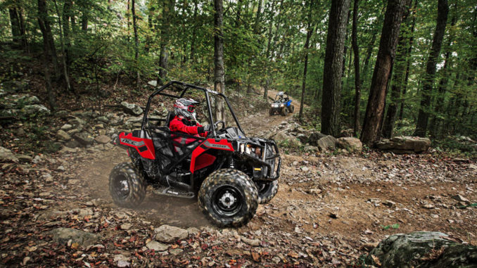 Ein roter Polaris Ace fährt durch den Wald.