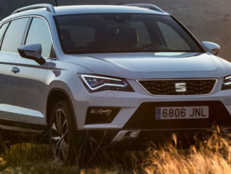 Ein weißer Seat Ateca steht im Abendlicht auf einer Wiese.