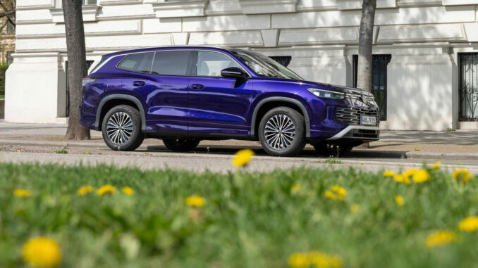 Ein blauer VW Tayron steht 2025 hinter einer Blumenwiese.