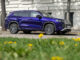 Ein blauer VW Tayron steht 2025 hinter einer Blumenwiese.